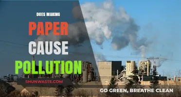 Paper Production's Environmental Impact: Unveiling the Pollution Truth