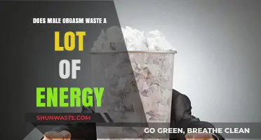 Male Orgasm Energy Expenditure: Fact or Fiction?