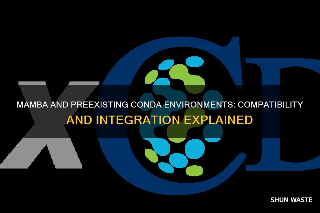 does mamba work with preexisting conda environments