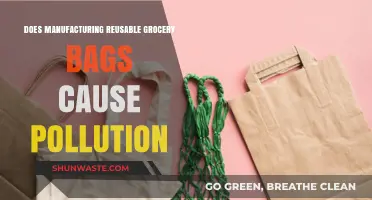 Reusable Grocery Bags: Manufacturing's Environmental Impact and Solutions