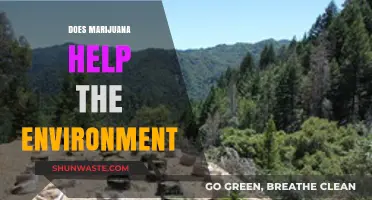 Marijuana's Green Impact: Exploring Cannabis Cultivation and Environmental Benefits