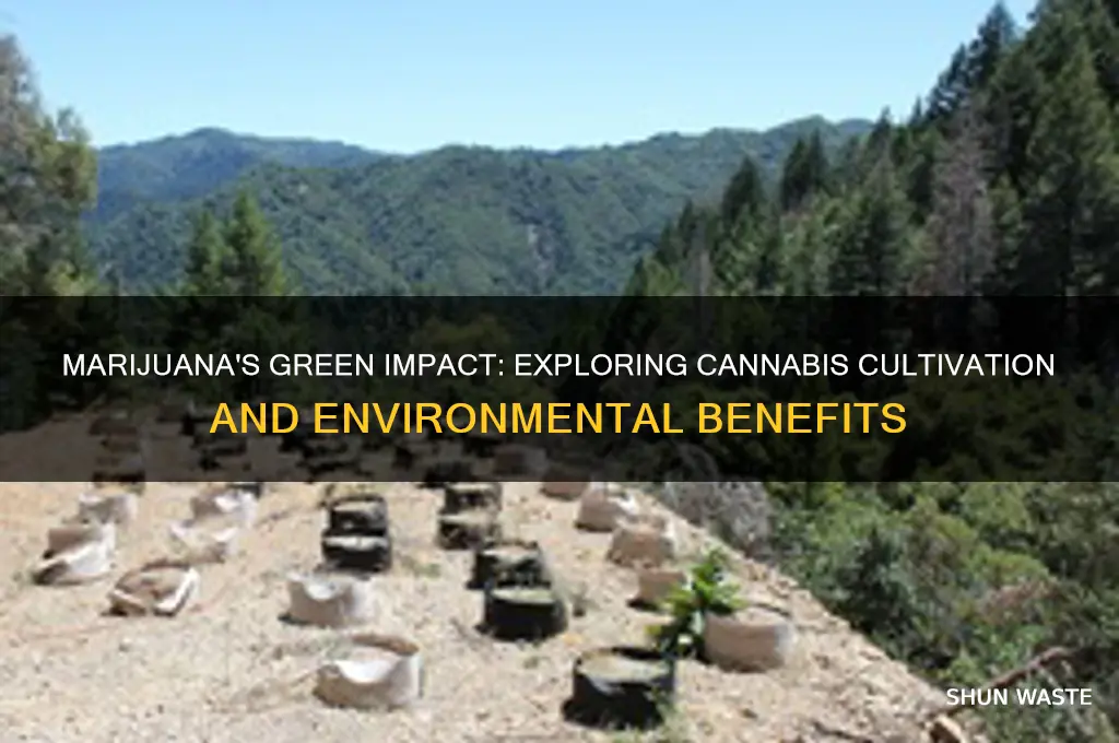 does marijuana help the environment