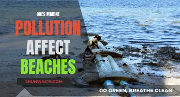 Marine Pollution's Impact on Beaches: A Growing Concern