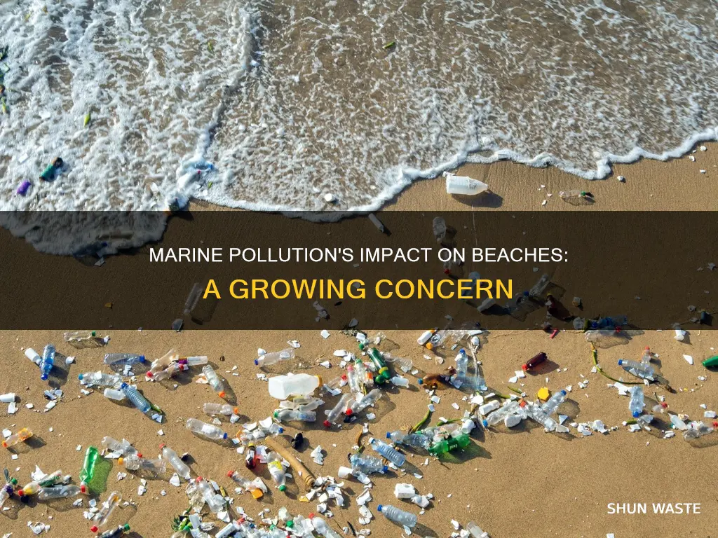 does marine pollution affect beaches