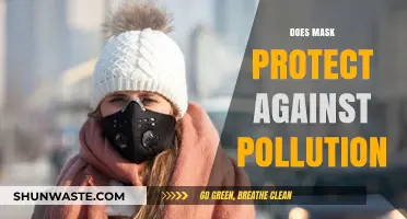 Masks: Pollution Protection or Just a Myth?
