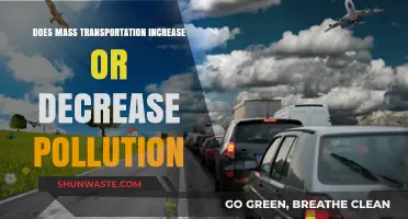 How Mass Transit Impacts Pollution Levels