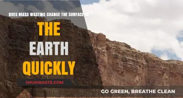 Mass Wasting: Rapidly Reshaping Earth's Surface or Gradual Transformation?