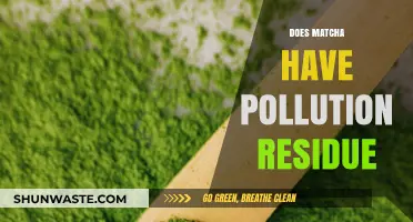 Matcha's Pollution Residue: How Clean is Your Green Tea?