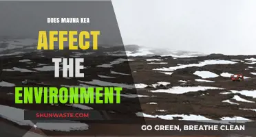Mauna Kea's Environmental Impact: Balancing Conservation and Human Activity