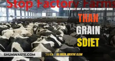 Meat vs. Grain: Which Diet Has a Bigger Environmental Impact?