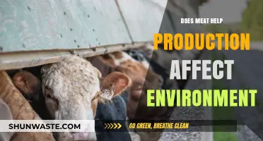 Meat Production's Environmental Impact: A Sustainable Future at Stake