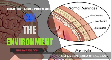 Meningitis' Surprising Environmental Impact: A Hidden Ecological Connection Explored