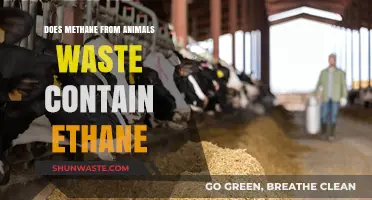 Animal Waste Methane: Does It Contain Ethane? Exploring the Science