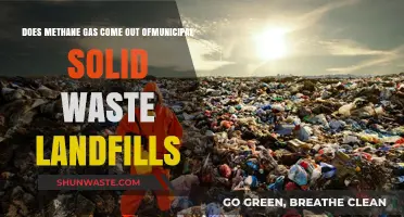Methane Emissions from Municipal Solid Waste Landfills: Causes and Solutions