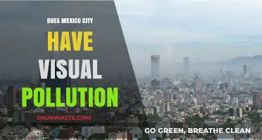 Visual Pollution in Mexico City: An Unseen Crisis