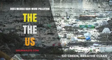 Mexico vs. US: Who's More Polluted?