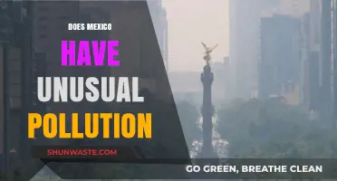 Mexico's Pollution Problem: An Unusual Crisis