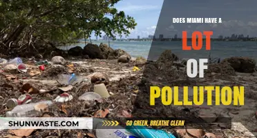 Miami's Pollution Problem: Is the Magic City Polluted?