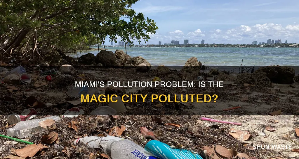 does miami have a lot of pollution