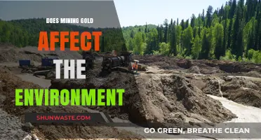 Gold Mining's Environmental Impact: Uncovering the Hidden Costs of Extraction