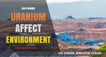 Uranium Mining's Environmental Impact: Risks, Consequences, and Sustainability Concerns