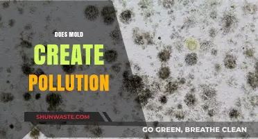 Mold's Pollution Impact: Understanding the Health Risks