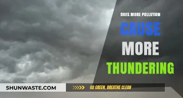 Noise and Air: The Thunderous Impact of Pollution