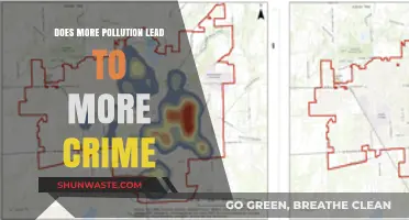 Pollution and Crime: A Correlation or Coincidence?