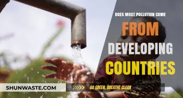 Developing Countries: Pollution's Unseen Source?