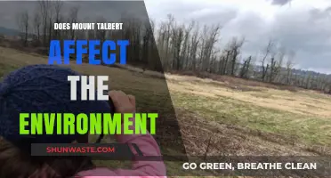 Mount Talbert's Environmental Impact: Exploring Its Ecological Footprint and Effects