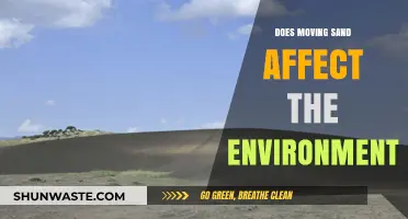 Shifting Sands: Environmental Impacts of Moving Sand Explored