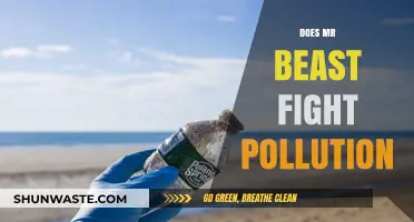 Mr Beast's Battle Against Pollution: What's the Impact?