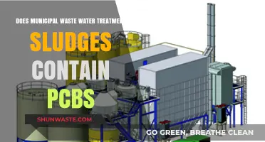 PCBs in Municipal Wastewater Sludge: Contamination Risks and Concerns