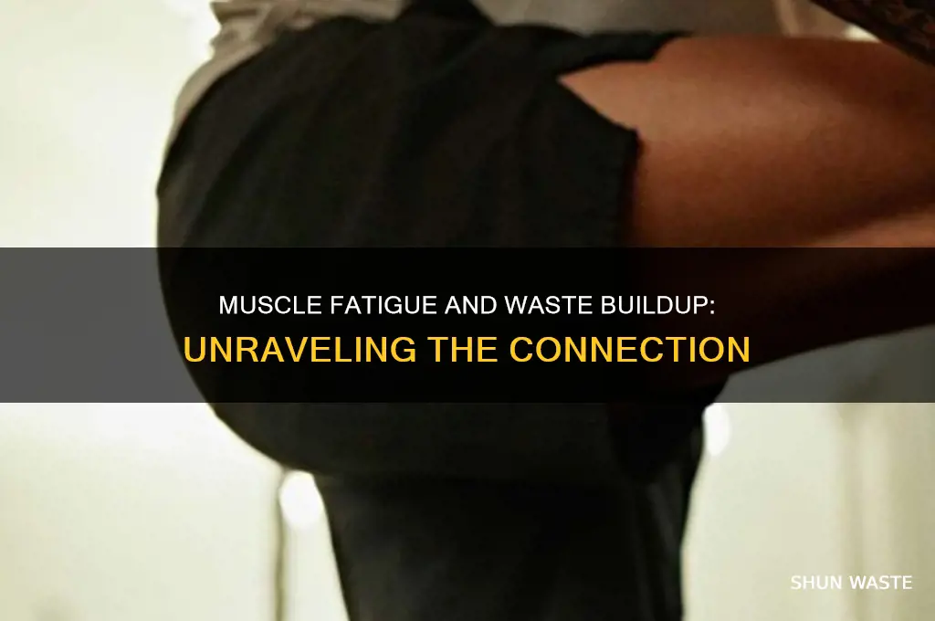 does muscle fatigue happen because of wastes
