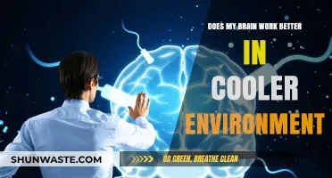 Cooler Climates: Unlocking Enhanced Brain Function and Productivity
