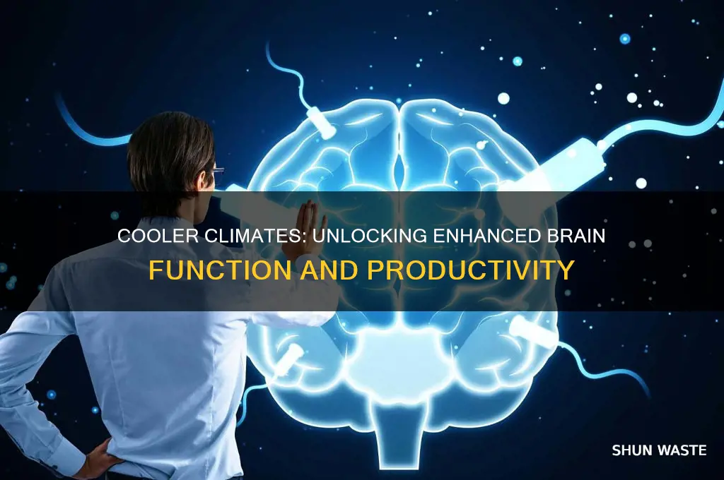 Cooler Climates: Unlocking Enhanced Brain Function And Productivity ...