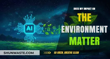 Does Individual Environmental Impact Truly Make a Global Difference?