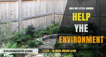 Small Gardens, Big Impact: How Your Green Space Benefits the Environment