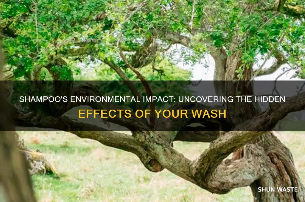 does my shampoo impact the environment