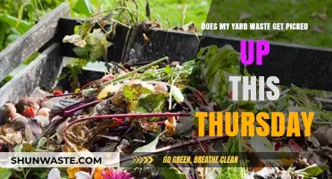 Yard Waste Pickup This Thursday: What You Need to Know