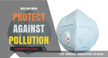 N95 Masks: Effective Shields Against Pollution