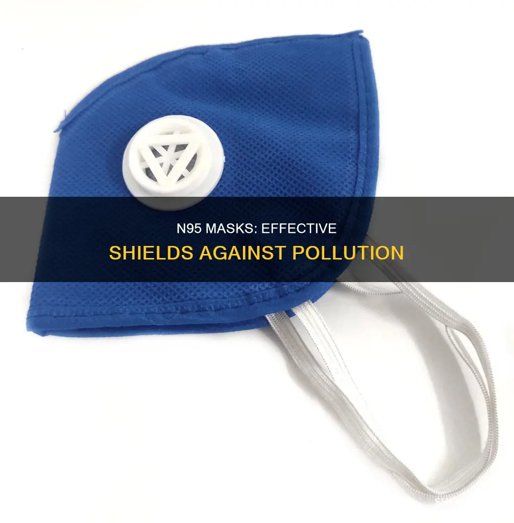 does n95 mask protect against pollution