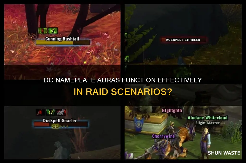 does nameplate auras still work in raid environment