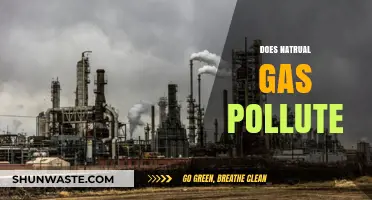 Natural Gas: Clean Energy or Polluting Fossil Fuel?