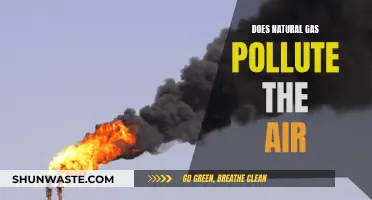 Natural Gas: Friend or Foe to Our Air?