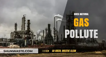 Natural Gas: Clean Energy or Polluting Fossil Fuel?