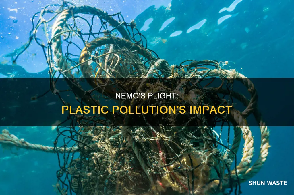 does nemo have anythingto do with plastic pollution