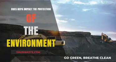 NEPA's Role in Safeguarding the Environment: A Comprehensive Analysis