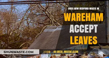 New Bedford Waste in Wareham: Leaf Disposal Guidelines Explained