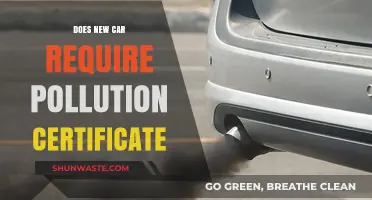 Pollution Certificates: A Must-Have for New Cars?